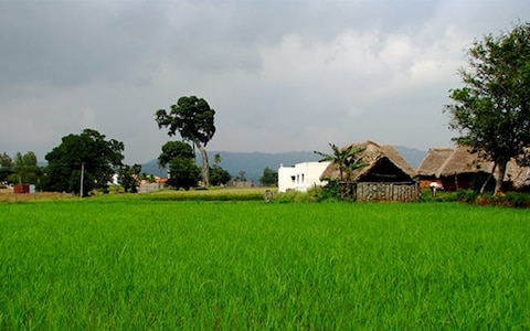 Yelagiri Adventure Camp